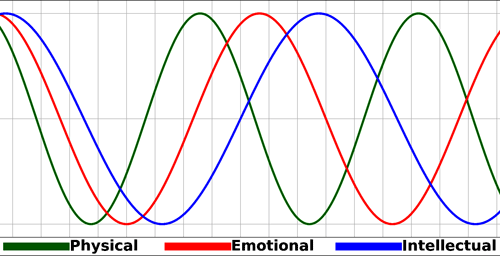 Bio Rhythm